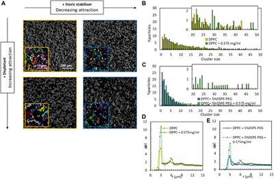 Quantifying the tuneable interactions between colloid supported lipid bilayers